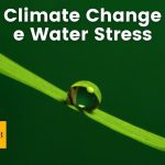 Viticoltura - Climate Change e Water Stress