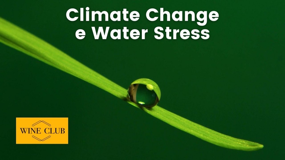Viticoltura - Climate Change e Water Stress