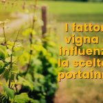Wine Geek - Portainnesti