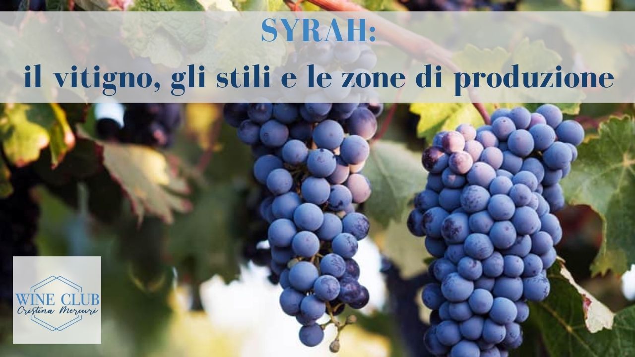 syrah vitigno stili di produzione
