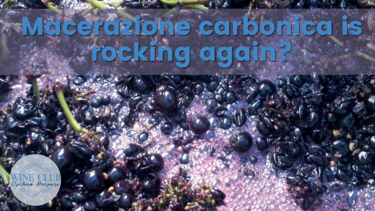 macerazione carbonica