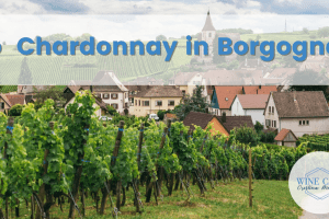 chardonnay in borgogna