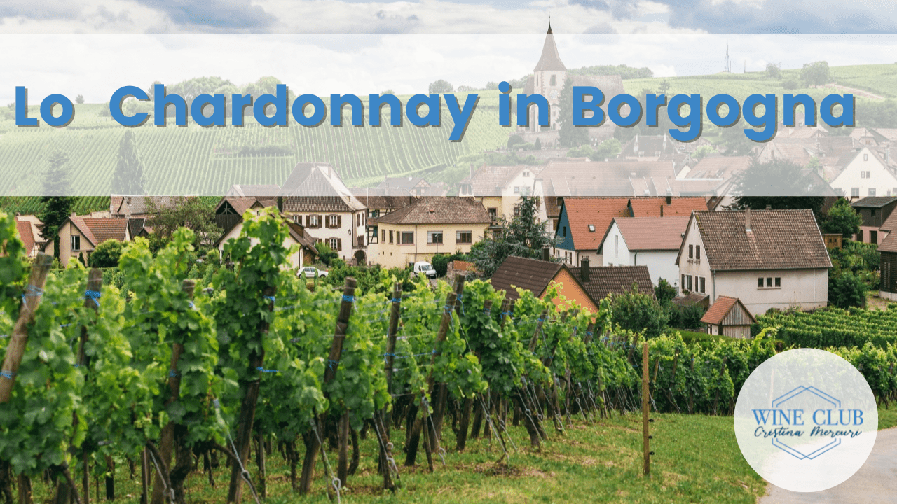Lo Chardonnay in Borgogna: qualità e stili delle principali zone
