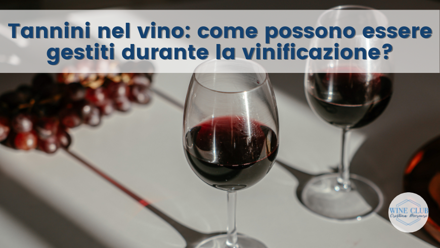 Tannini nel vino: come possono essere gestiti durante la vinificazione?